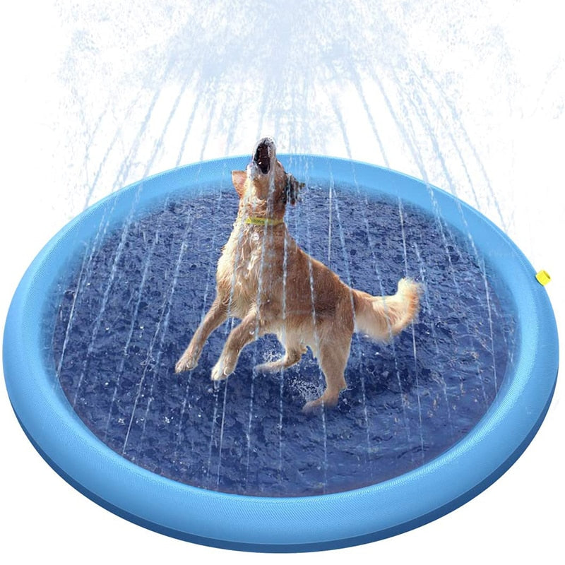 AquaPaws Hunde Schwimmbecken mit Wasserstrahl