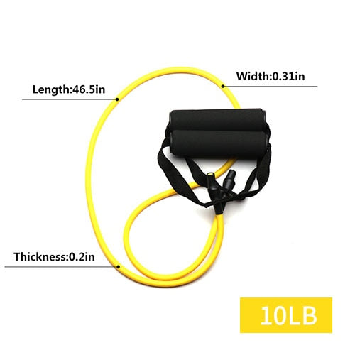 WorkOut Widerstandsbänder Set (inkl. kostenlosen Therabänder)